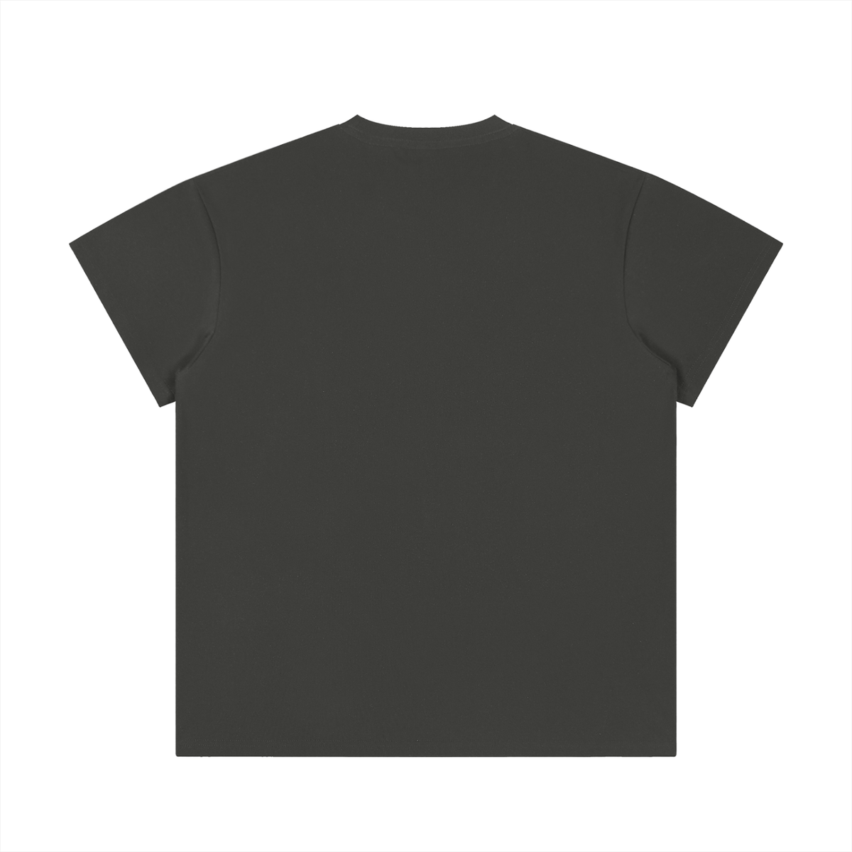 Unisex Regular Fit Crewneck T-Shirt gallery view