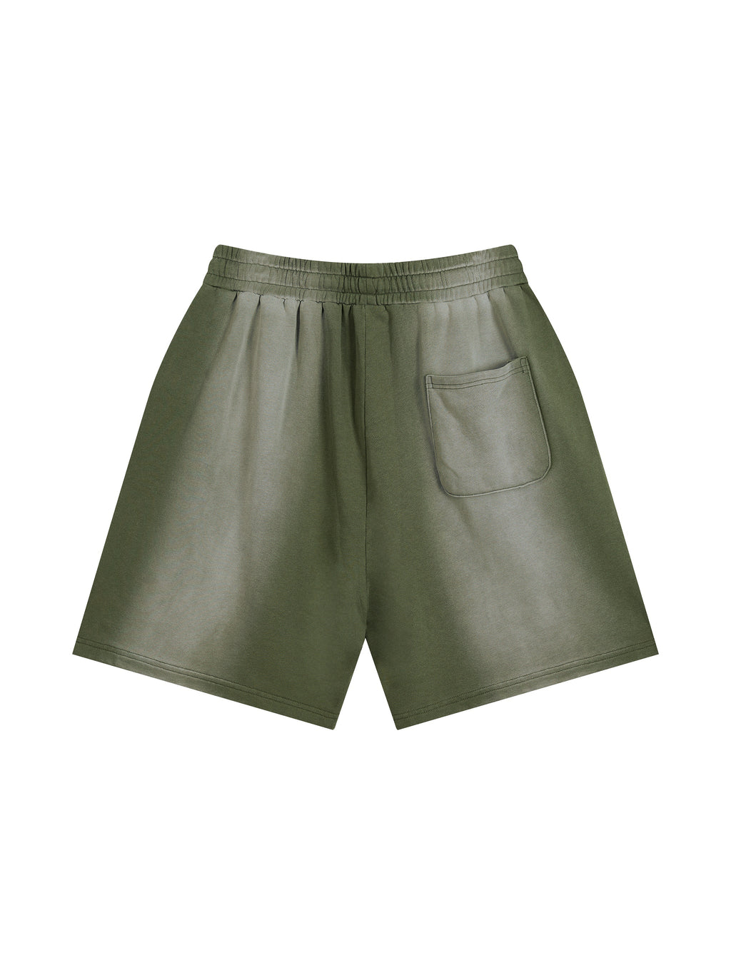 Sun-Faded Distressed Shorts