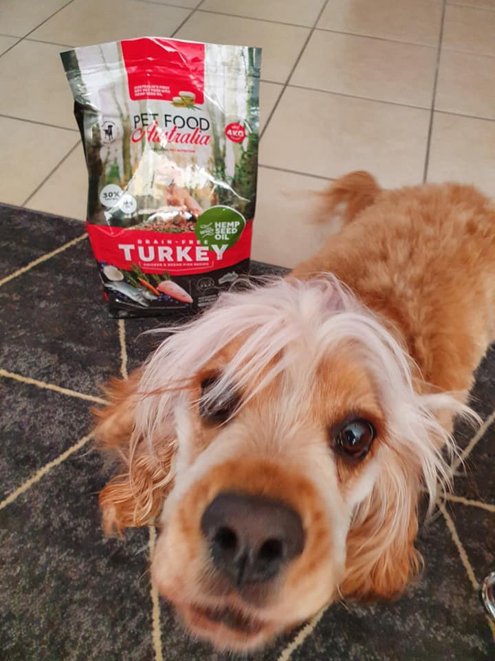 Turkey Dog Food Collective