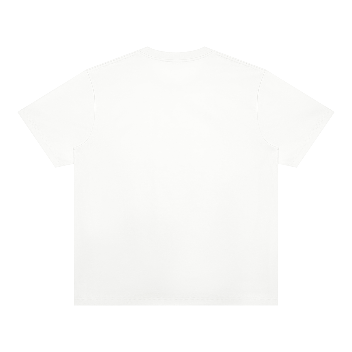 White Unisex Heavyweight Sorona T-Shirt back product view