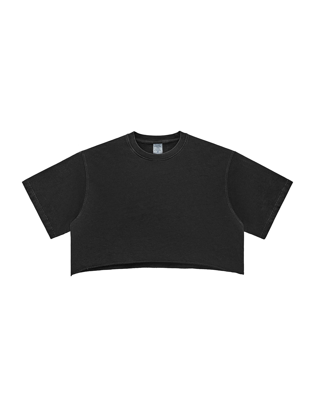 Snow Washed Raw Edge Crop Top