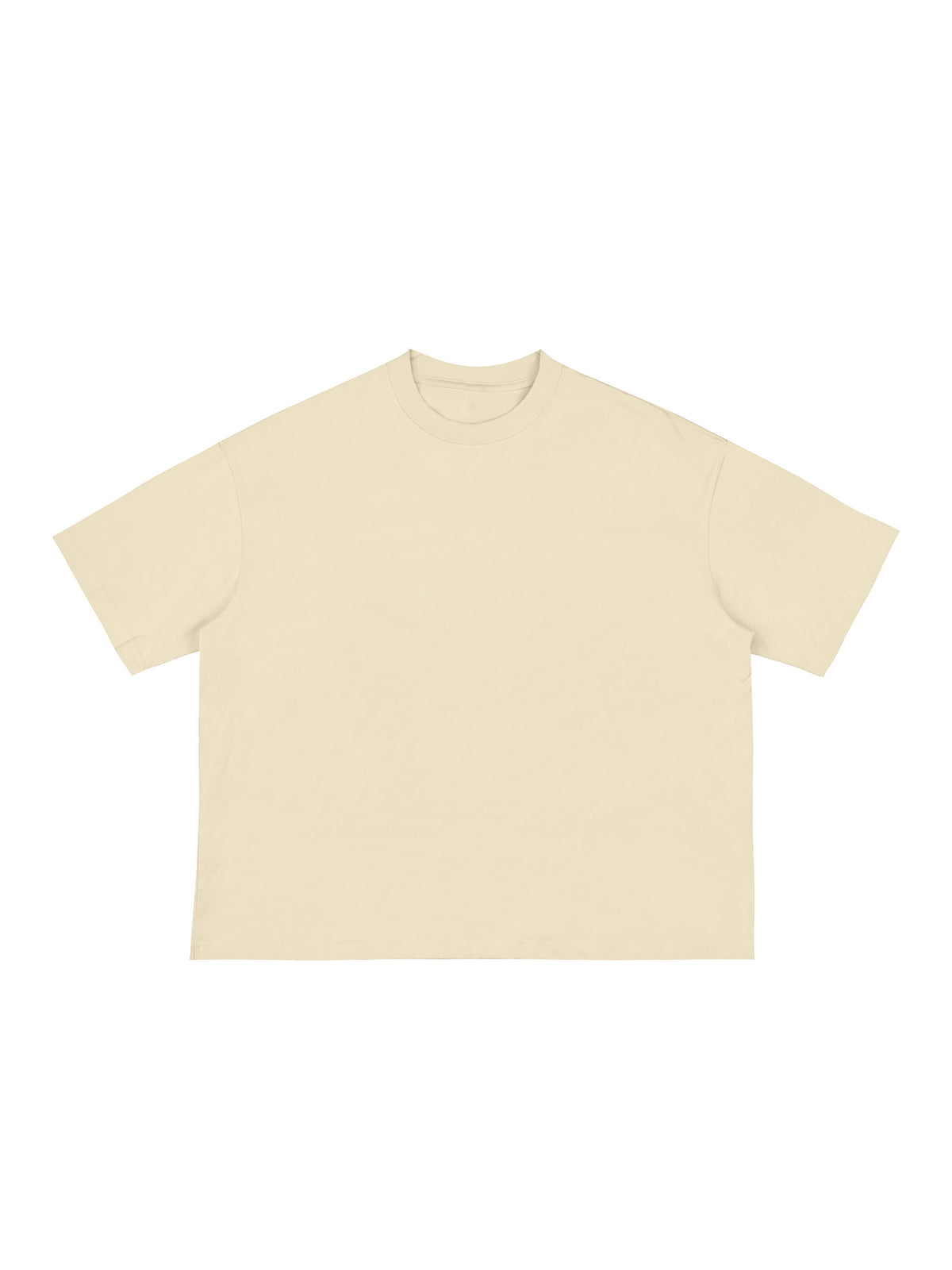 Classic Loose Boxy T-Shirt