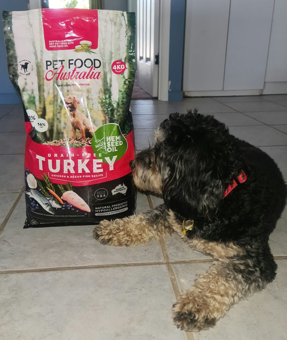 Turkey Dog Food Collective