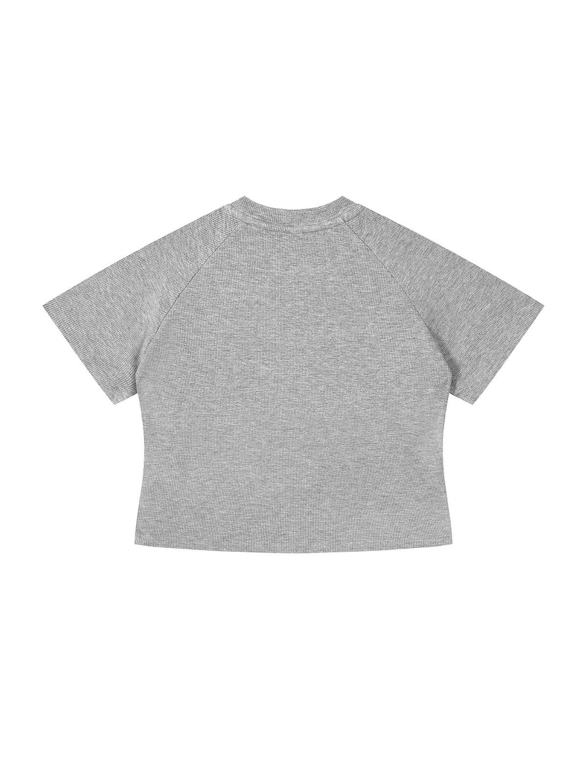 Women's Mineral Wash Crop T-Shirt