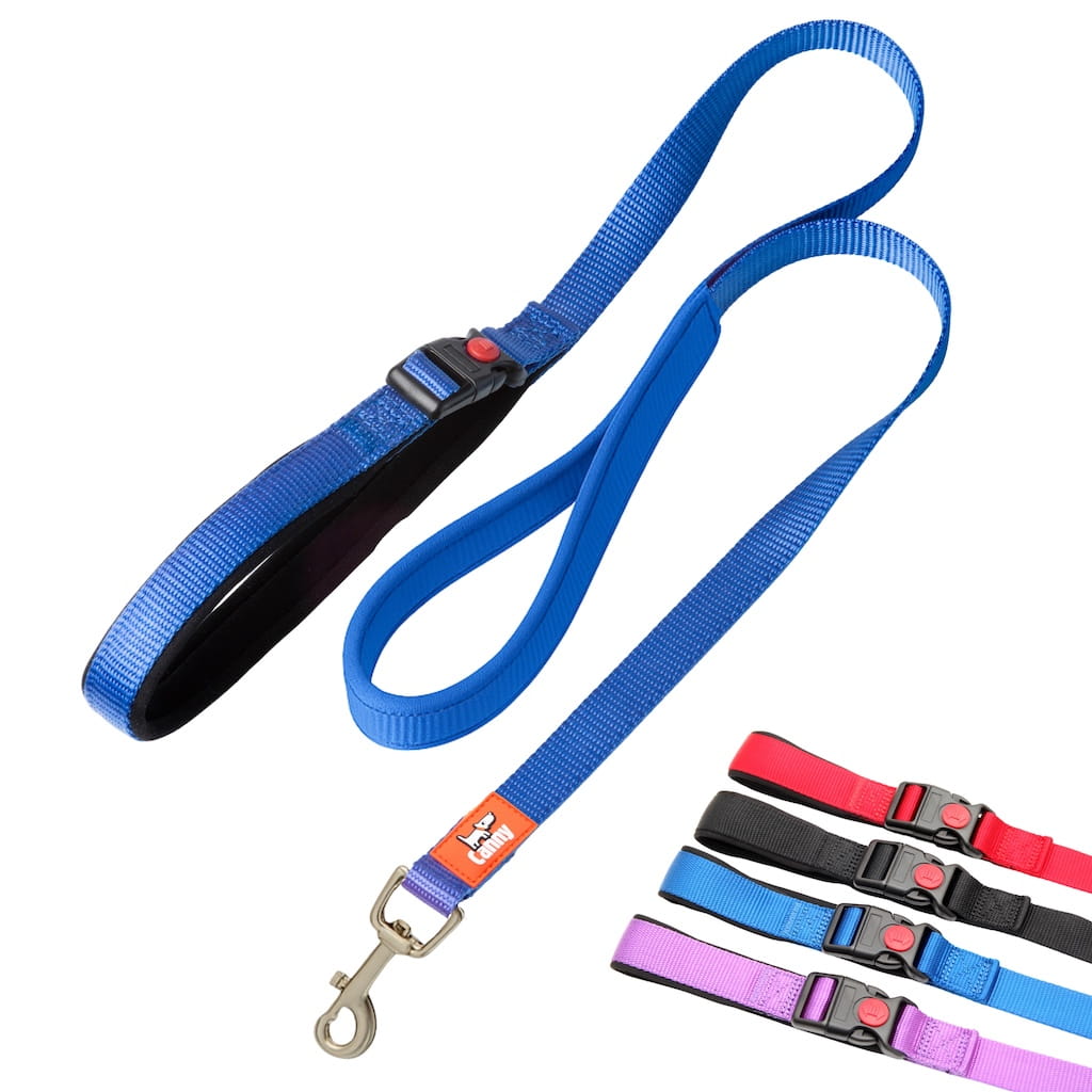 Canny CONNECT Lead - Previous Handle Version