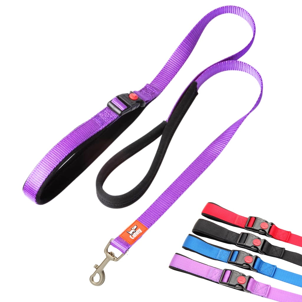 Canny CONNECT Lead - Previous Handle Version