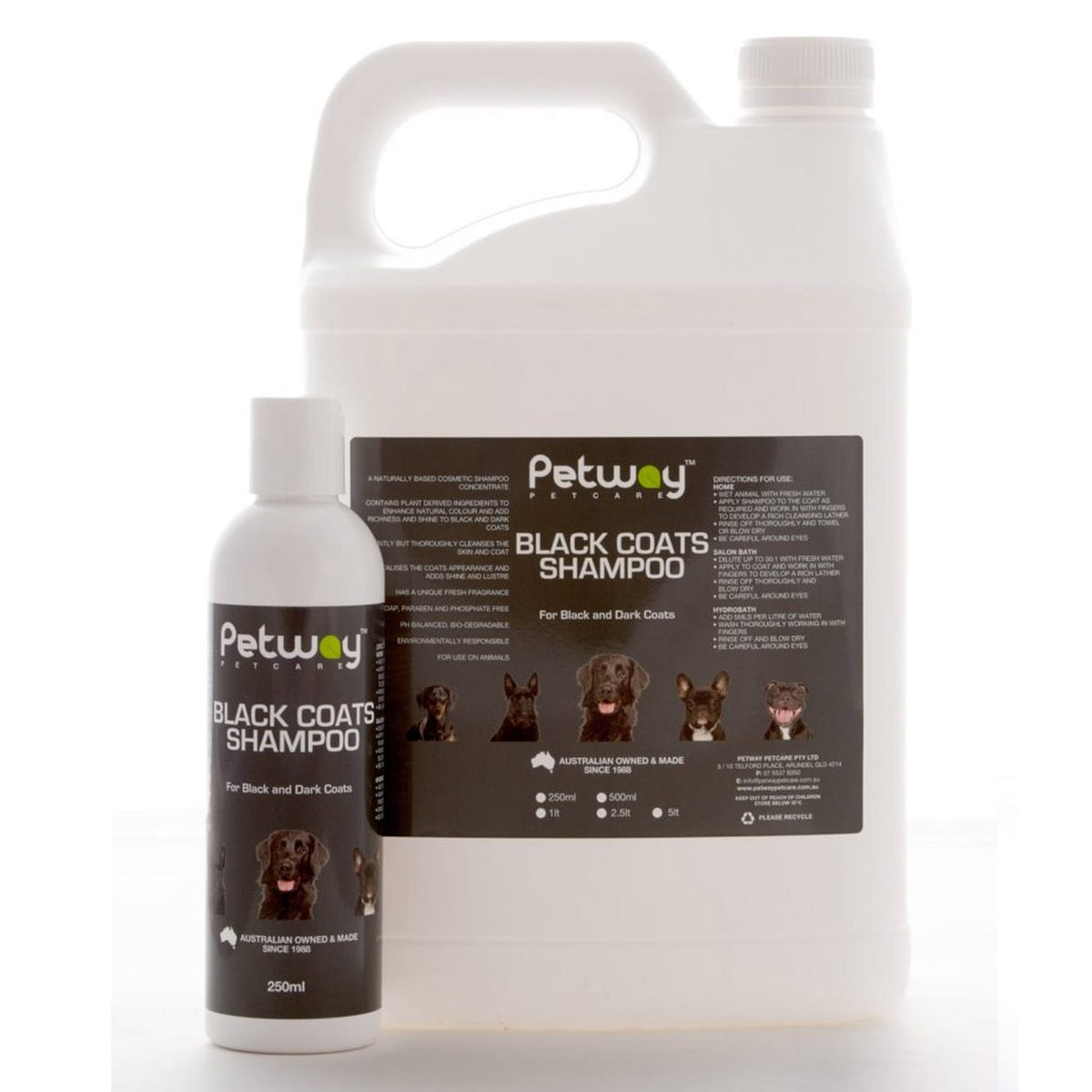 Petway Black Coats Shampoo larger bottle