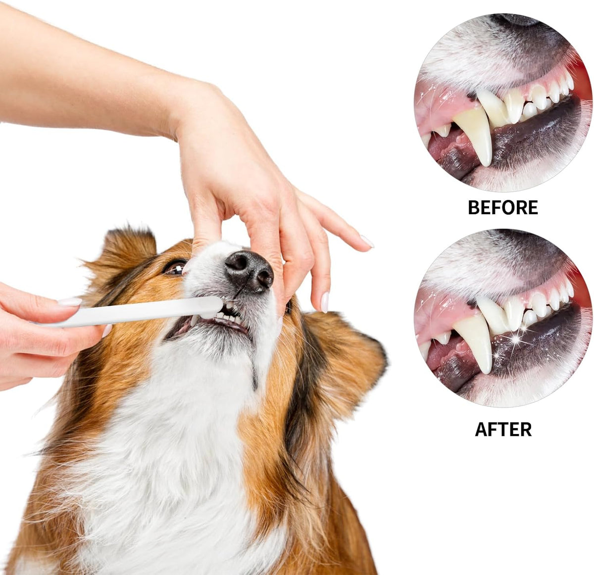 Petluno Small Dog & Cat Toothbrush 5 Set Micro Nano Bristles to Clean pet Teeth