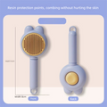 2 Pcs Blue Pet Self-Cleaning Slicker Brush for Cats and