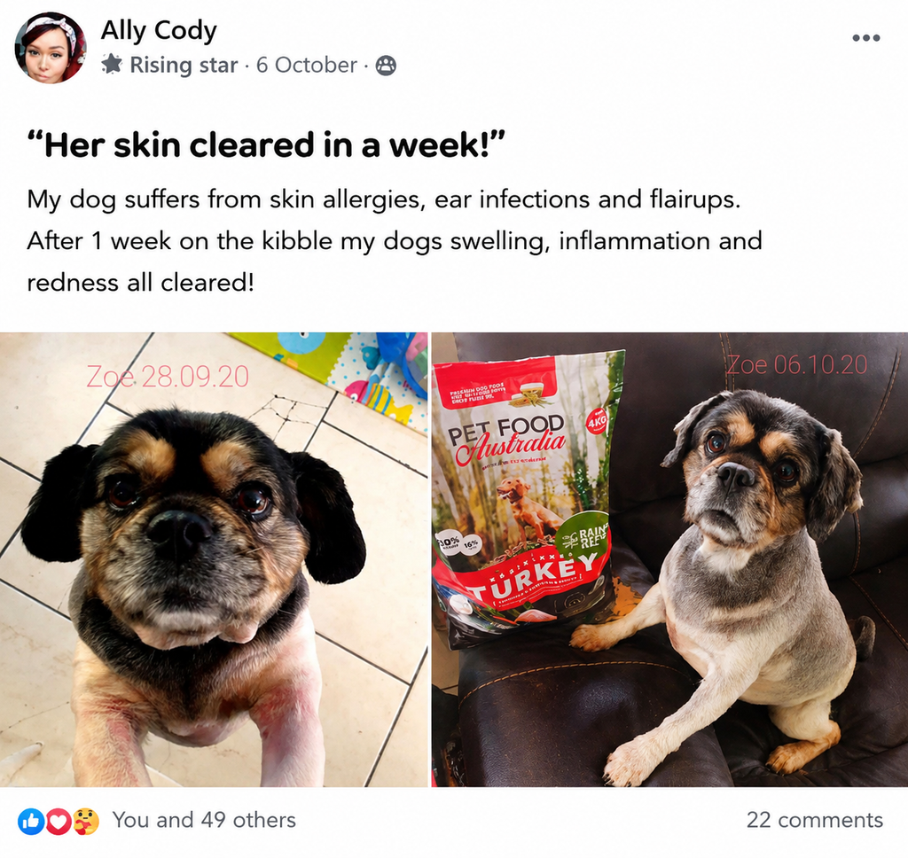 Turkey Dog Food Collective