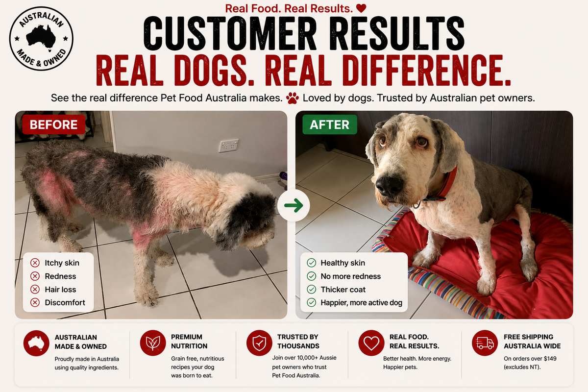 Turkey Dog Food Collective