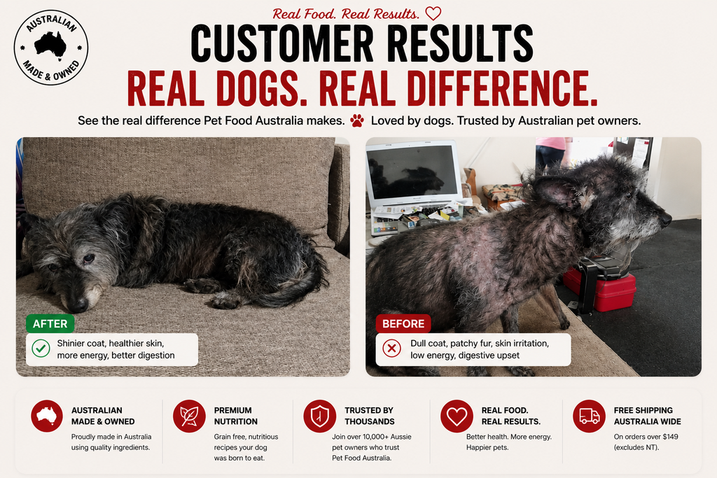 Turkey Dog Food Collective