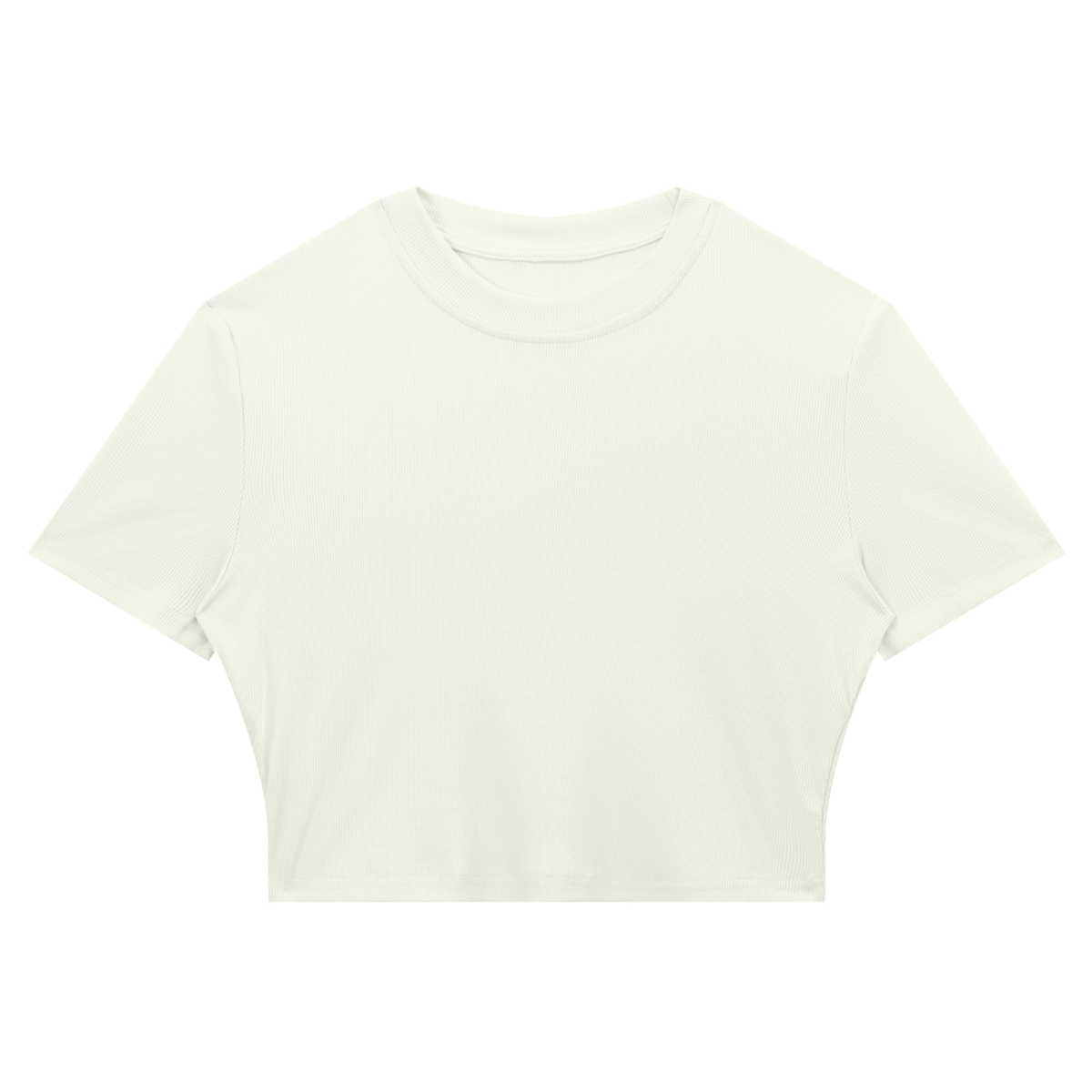Women's Slim Ribbed Crop T-Shirt