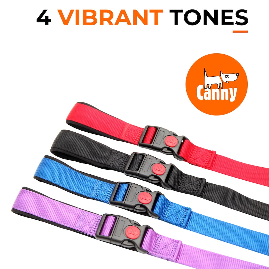 Canny CONNECT Lead - Previous Handle Version