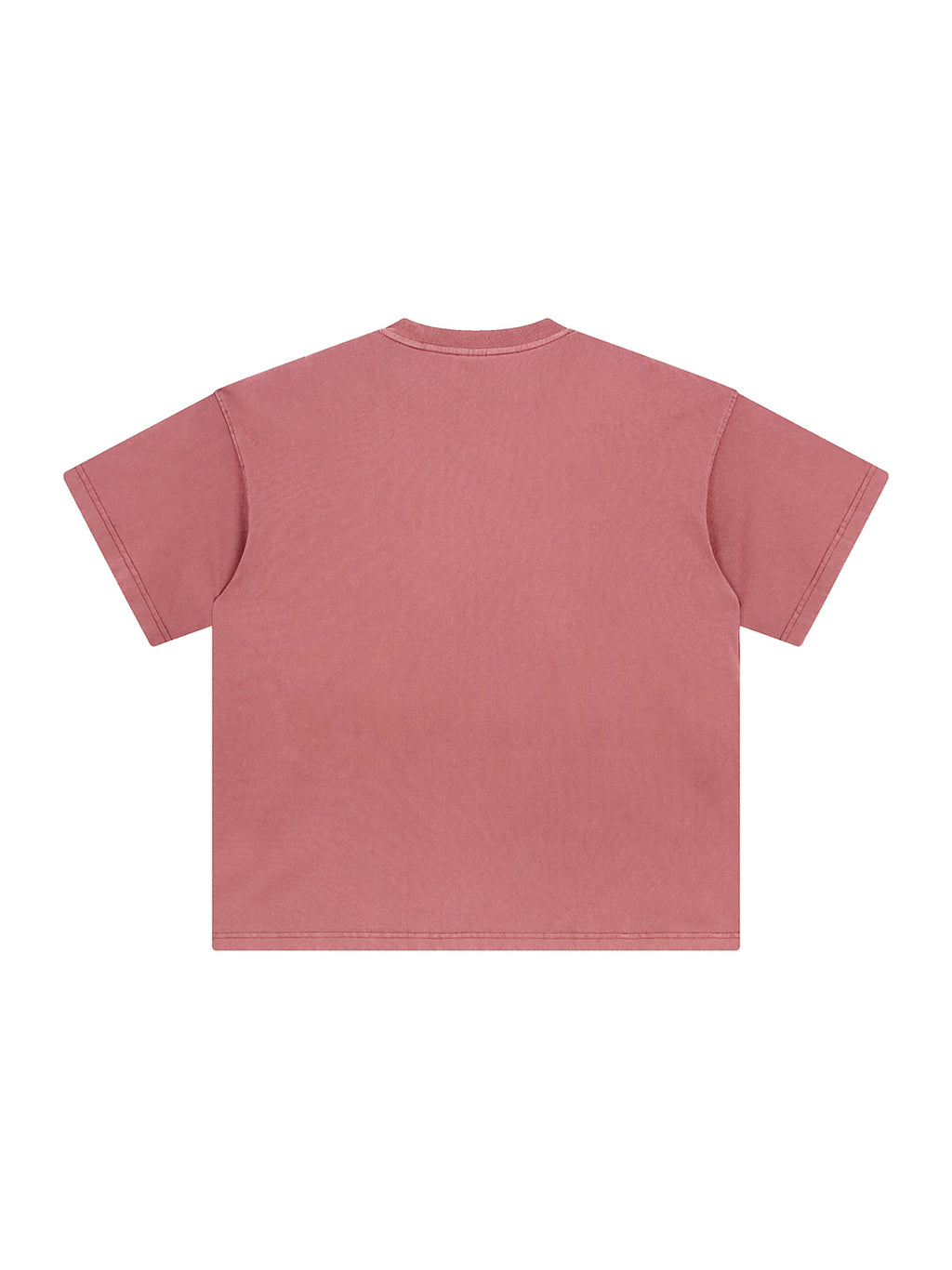 Brick Red Enzyme Washed T-Shirt back product view