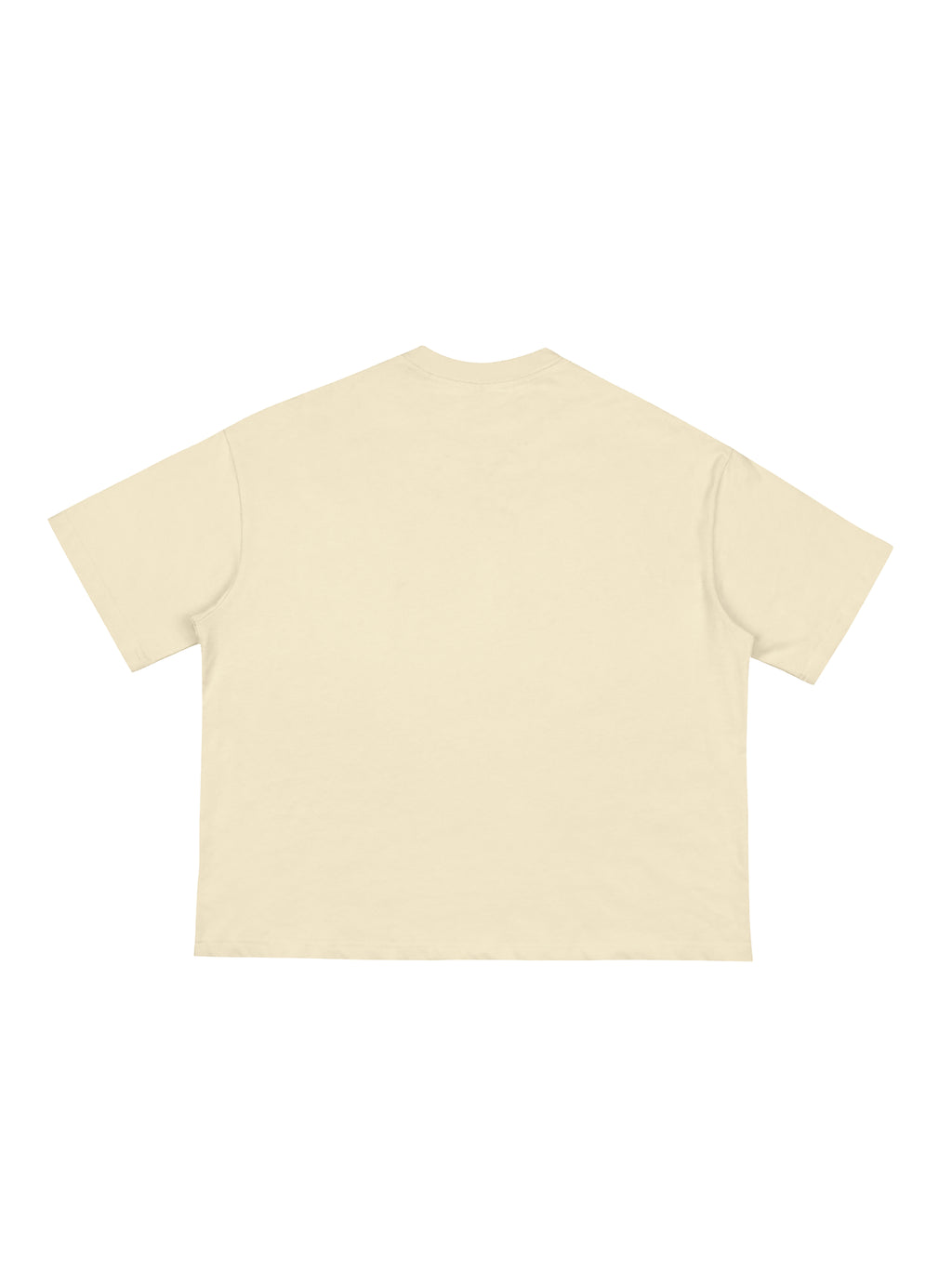 Classic Loose Boxy T-Shirt