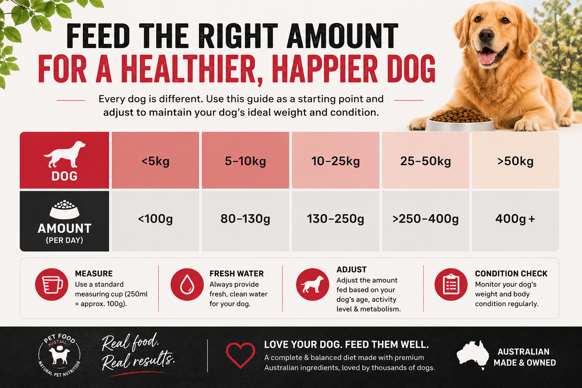 Turkey Dog Food Collective