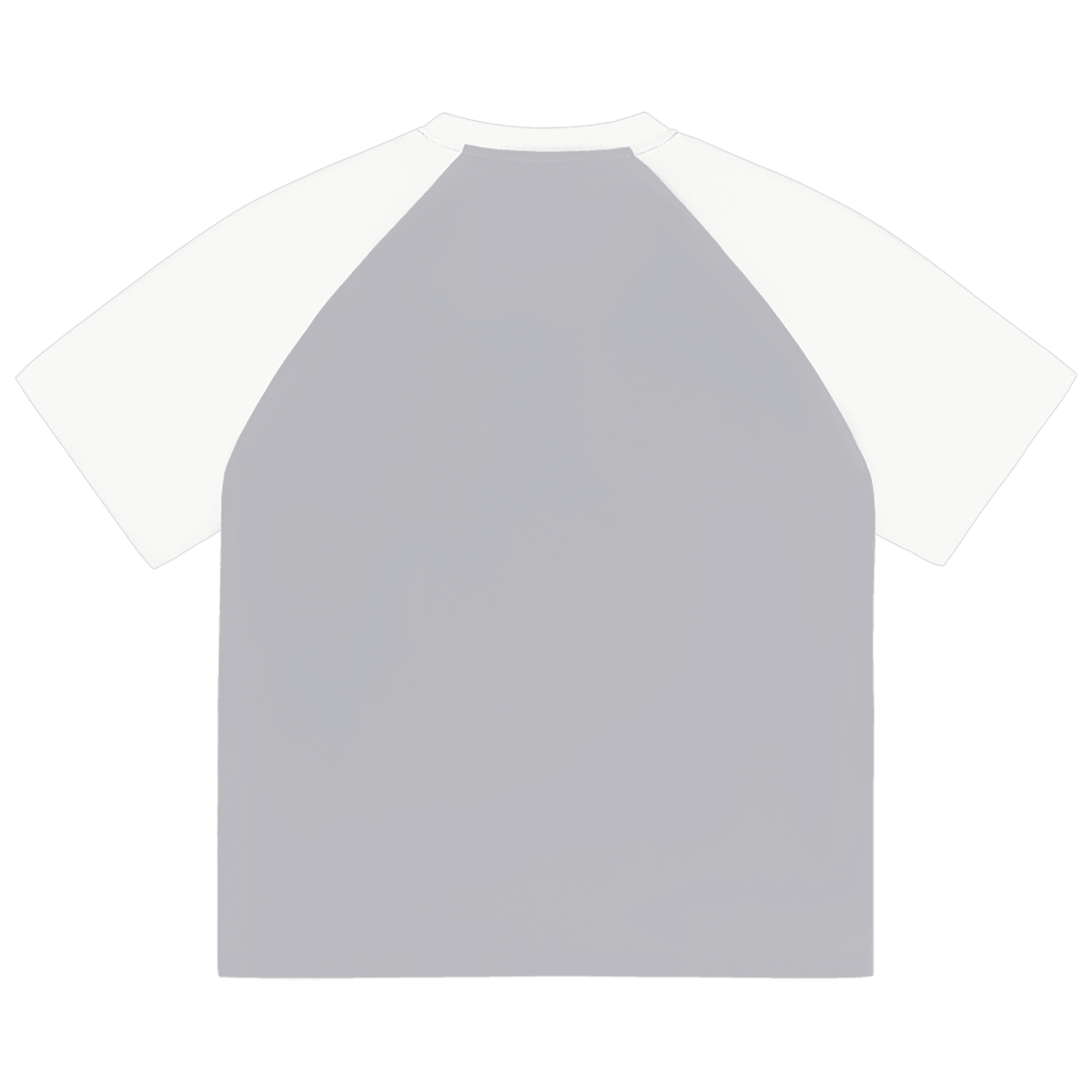 Color-Blocked Raglan Sleeve T-Shirt