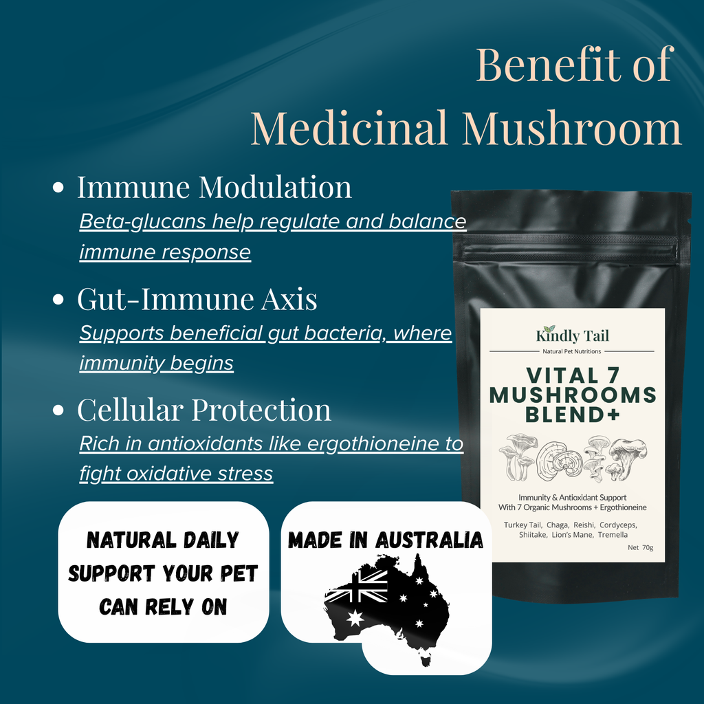 Vital 7 Organic Mushrooms Blend+ Ergothioneine For Dog and Cat