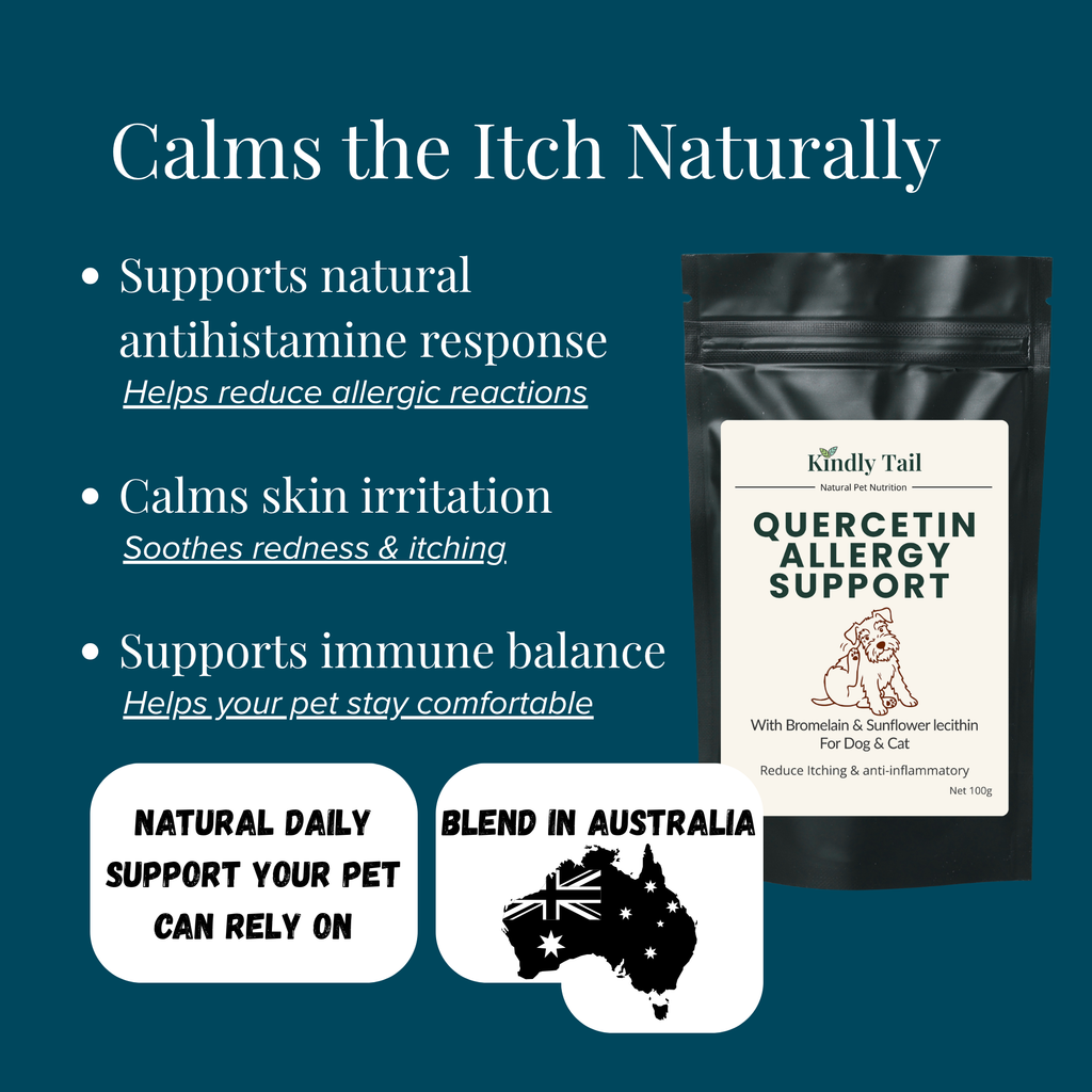 Quercetin with Bromelain for Dogs – Skin Allergy & Itch Support