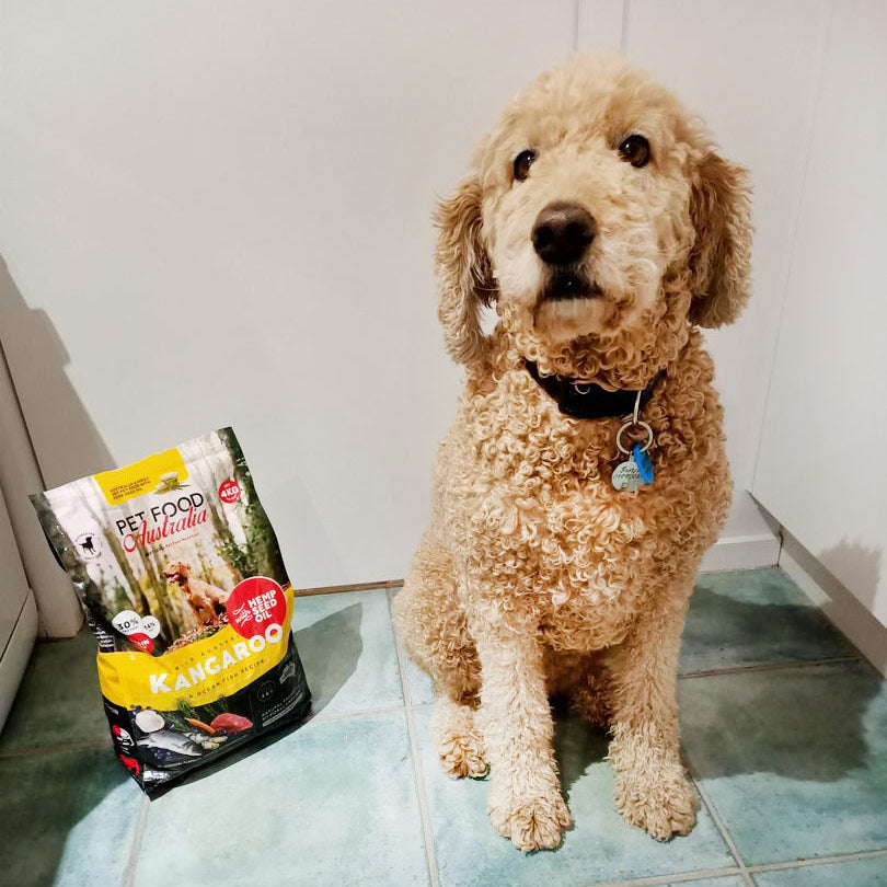 Kangaroo & Ocean Fish Dry Food Collective