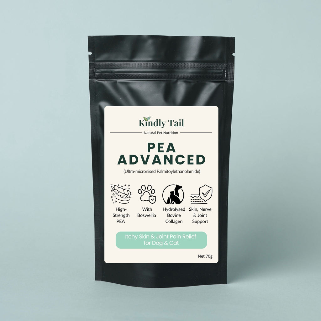 PEA Advanced for Dogs & Cats