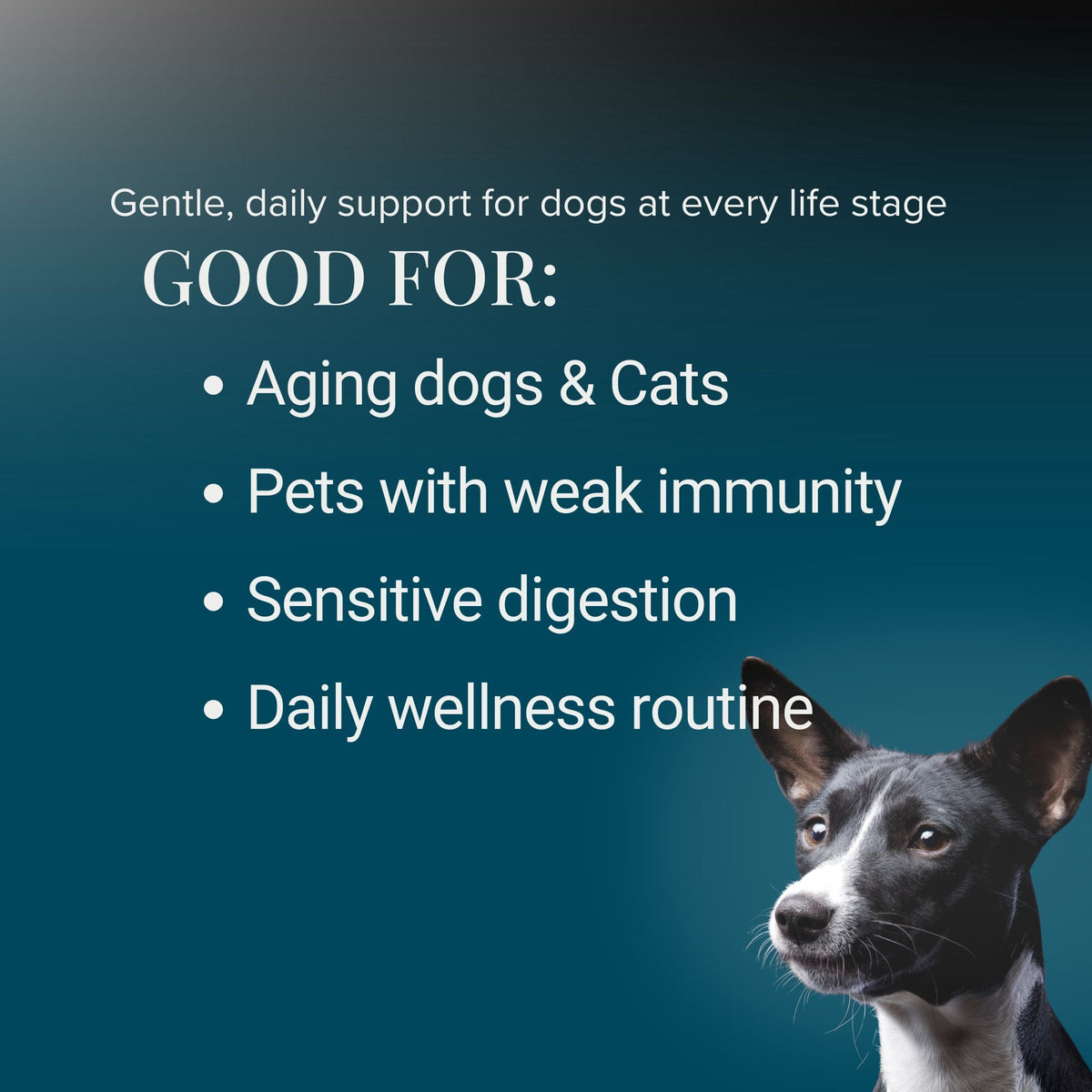 Vital 7 Organic Mushrooms Blend+ Ergothioneine For Dog and Cat