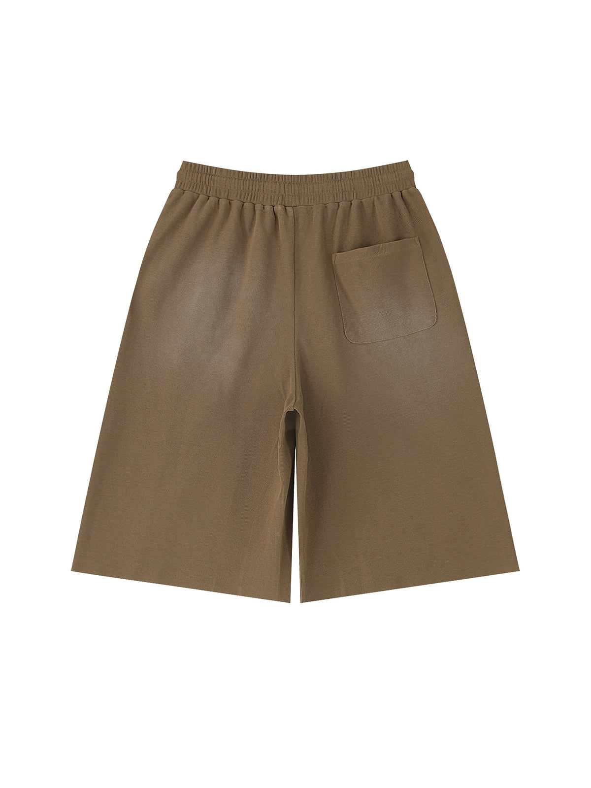 Off Script Unisex Sunfade Raw Edge Shorts Coffee back view