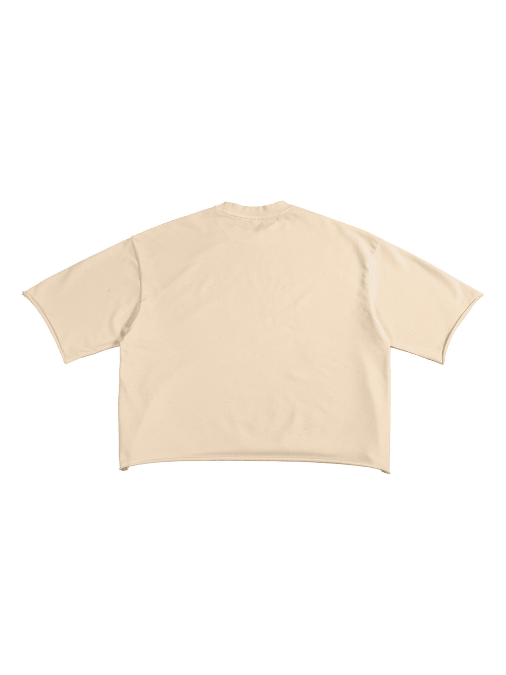 Apricot Unisex French Terry Raw-Edge T-Shirt back view