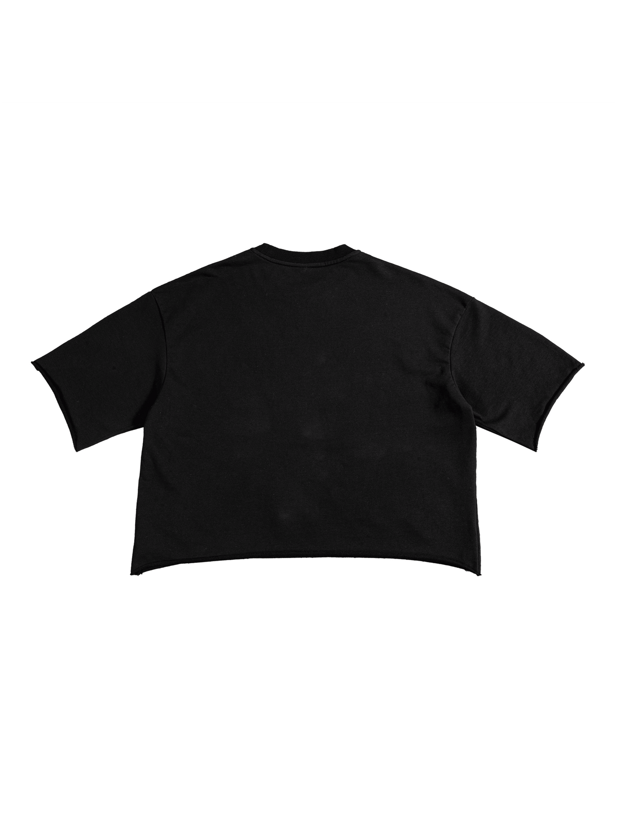 Black Unisex French Terry Raw-Edge T-Shirt back view