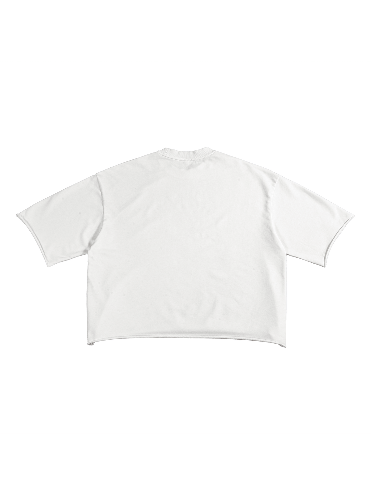 White Unisex French Terry Raw-Edge T-Shirt back view
