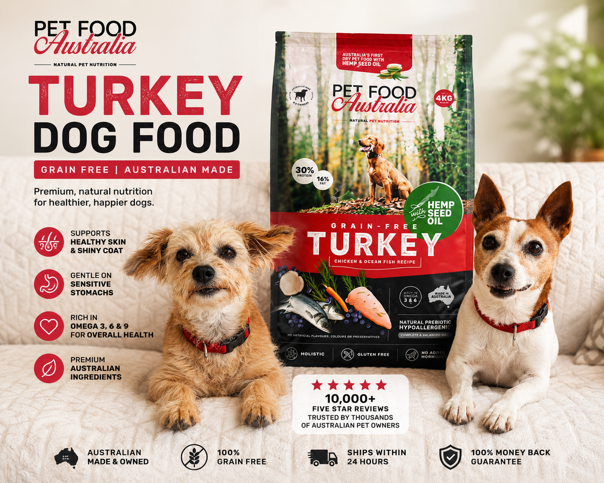 Turkey Dog Food Collective