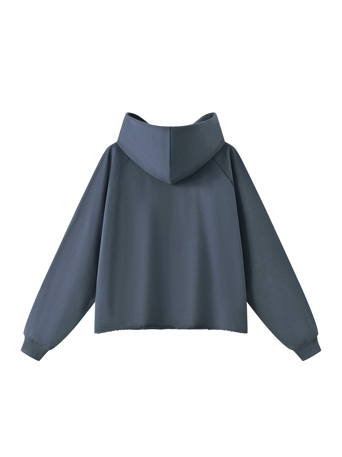 Unisex Vintage Wash Raw Edge Boxy Hoodie blue back view
